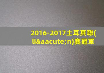 2016-2017土耳其聯(lián)賽冠軍