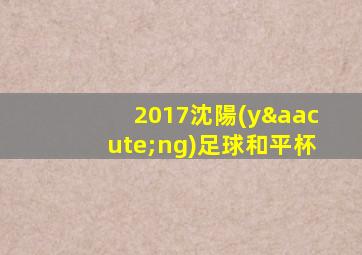 2017沈陽(yáng)足球和平杯