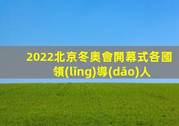 2022北京冬奧會開幕式各國領(lǐng)導(dǎo)人