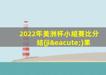 2022年美洲杯小組賽比分結(jié)果