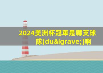 2024美洲杯冠軍是哪支球隊(duì)啊