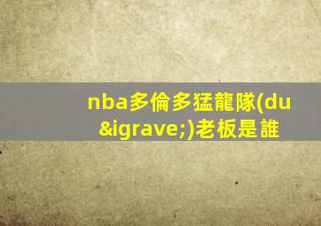 nba多倫多猛龍隊(duì)老板是誰