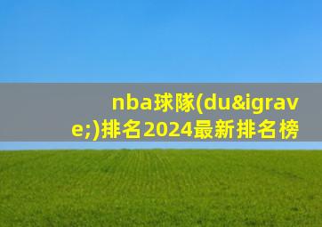 nba球隊(duì)排名2024最新排名榜