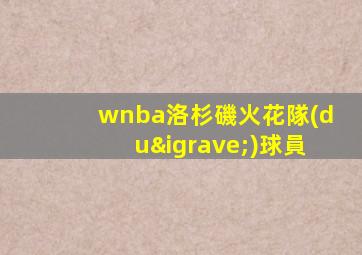 wnba洛杉磯火花隊(duì)球員