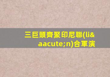三巨頭齊聚印尼聯(lián)合軍演