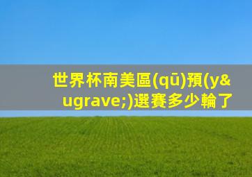 世界杯南美區(qū)預(yù)選賽多少輪了