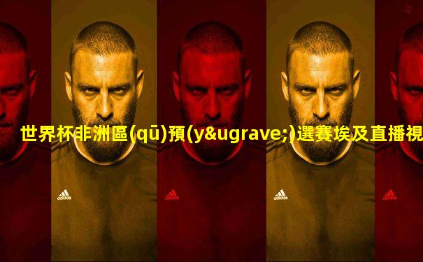 世界杯非洲區(qū)預(yù)選賽埃及直播視頻