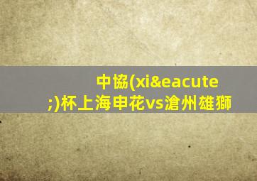 中協(xié)杯上海申花vs滄州雄獅