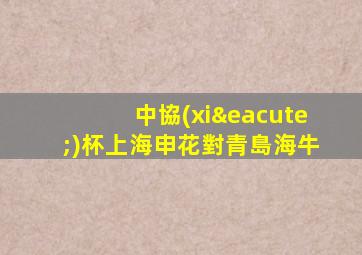 中協(xié)杯上海申花對青島海牛