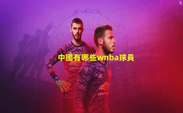 中國有哪些wnba球員