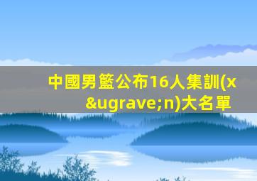 中國男籃公布16人集訓(xùn)大名單