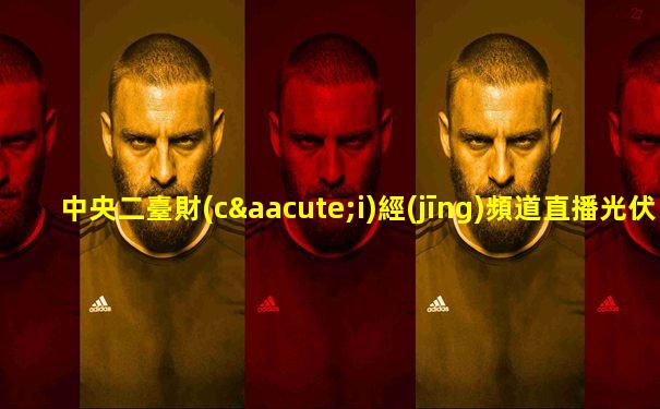 中央二臺財(cái)經(jīng)頻道直播光伏