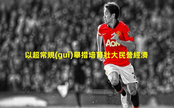 以超常規(guī)舉措培育壯大民營經濟