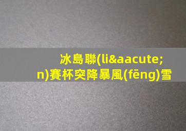 冰島聯(lián)賽杯突降暴風(fēng)雪