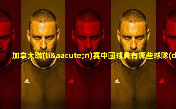 加拿大聯(lián)賽中國球員有哪些球隊(duì)