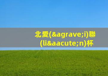 北愛(ài)聯(lián)杯