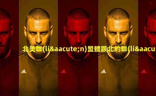 北美聯(lián)盟體跟北約聯(lián)盟體的區(qū)別