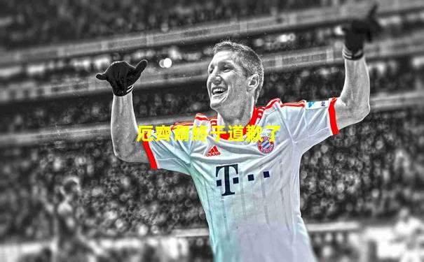 厄齊爾終于道歉了