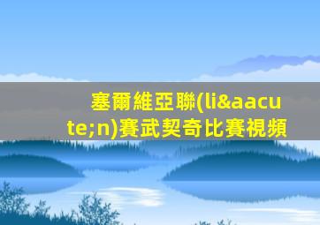 塞爾維亞聯(lián)賽武契奇比賽視頻