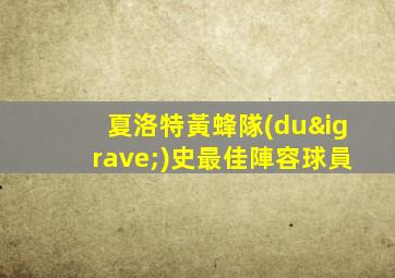 夏洛特黃蜂隊(duì)史最佳陣容球員