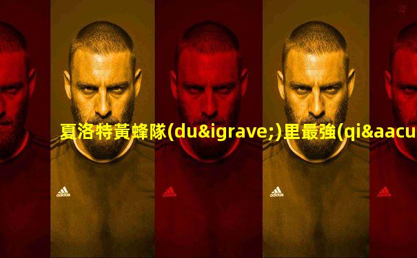 夏洛特黃蜂隊(duì)里最強(qiáng)中鋒是誰