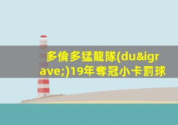 多倫多猛龍隊(duì)19年奪冠小卡罰球