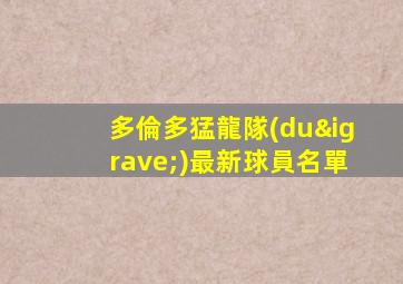 多倫多猛龍隊(duì)最新球員名單