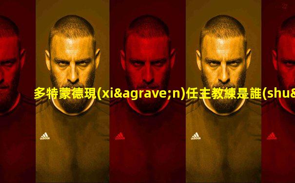 多特蒙德現(xiàn)任主教練是誰(shuí)