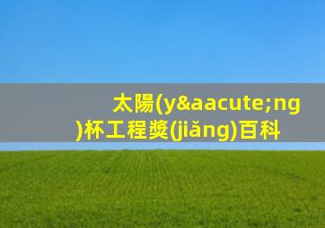 太陽(yáng)杯工程獎(jiǎng)百科