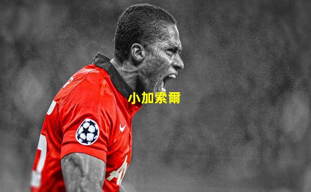 小加索爾