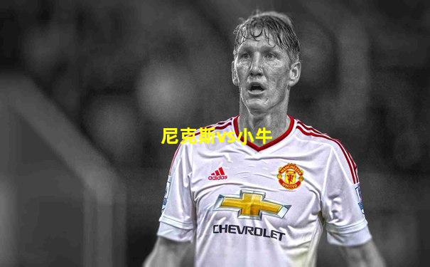 尼克斯vs小牛