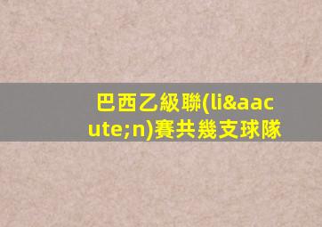 巴西乙級聯(lián)賽共幾支球隊