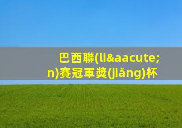巴西聯(lián)賽冠軍獎(jiǎng)杯