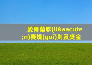 愛爾蘭聯(lián)賽規(guī)則及獎金