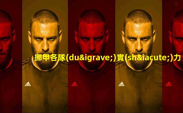 挪甲各隊(duì)實(shí)力介紹
