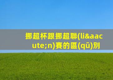 挪超杯跟挪超聯(lián)賽的區(qū)別