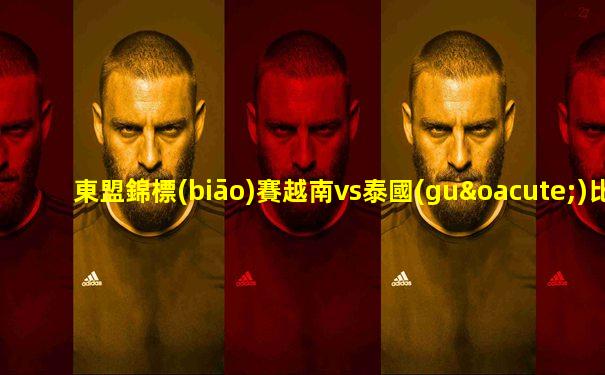 東盟錦標(biāo)賽越南vs泰國(guó)比分
