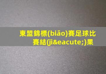 東盟錦標(biāo)賽足球比賽結(jié)果