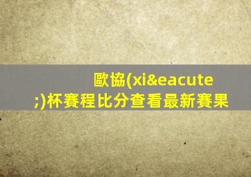 歐協(xié)杯賽程比分查看最新賽果