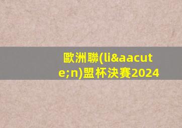 歐洲聯(lián)盟杯決賽2024