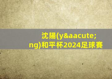 沈陽(yáng)和平杯2024足球賽