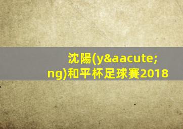 沈陽(yáng)和平杯足球賽2018