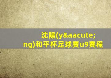 沈陽(yáng)和平杯足球賽u9賽程
