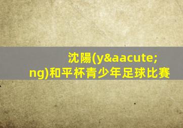 沈陽(yáng)和平杯青少年足球比賽