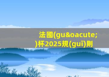 法國(guó)杯2025規(guī)則