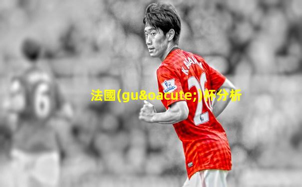 法國(guó)杯分析
