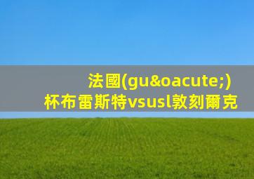 法國(guó)杯布雷斯特vsusl敦刻爾克