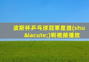 波斯杯乒乓球冠軍是誰(shuí)啊視頻播放