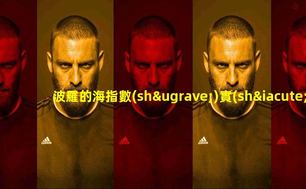 波羅的海指數(shù)實(shí)時(shí)查詢西本