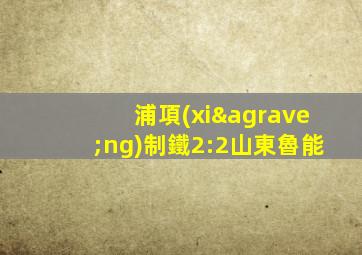 浦項(xiàng)制鐵2:2山東魯能